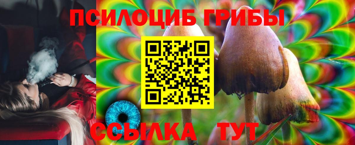 Галлюциногенные грибы мицелий Коммунар
